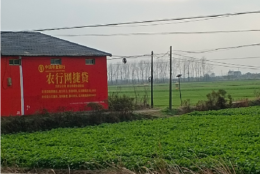 瑞丽如何防止墙体广告褪色呢？