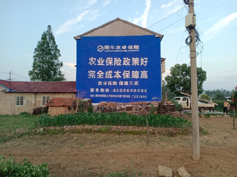 瑞丽墙体广告为何受追捧？