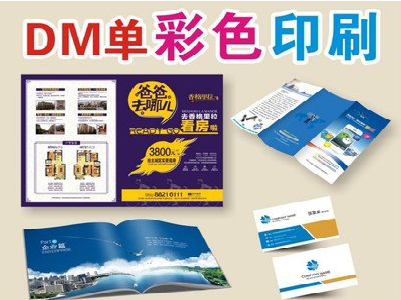 瑞丽单页印刷，色彩搭配简单。